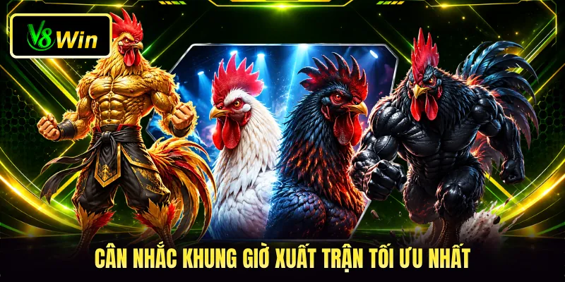 Màu Mạng Đá Gà V8WIN - Bí Quyết Luận Chiến Kê Phong Thủy 4 Cân nhắc khung giờ xuất trận tối ưu nhất
