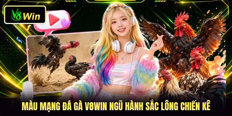 Màu Mạng Đá Gà V8WIN - Bí Quyết Luận Chiến Kê Phong Thủy 2 Màu mạng đá gà V8WIN ngũ hành sắc lông chiến kê