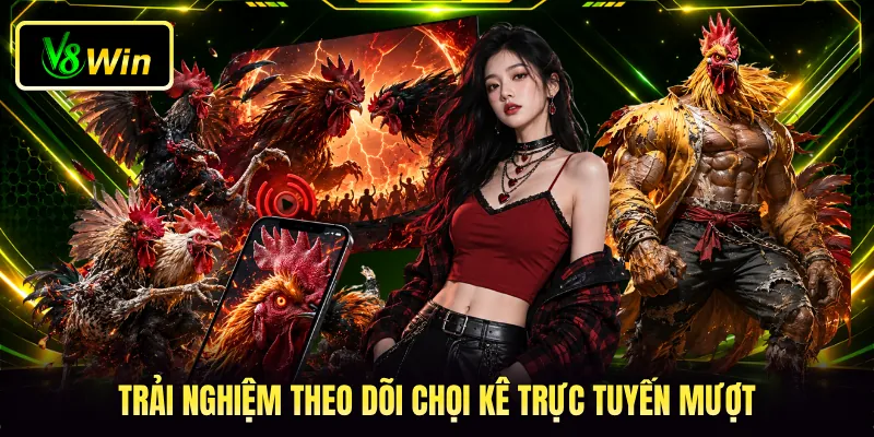 Đá Gà Trực Tiếp V8WIN - Đấu Trường Kê Chiến Châu Á 4 Trải nghiệm theo dõi chọi kê trực tuyến mượt